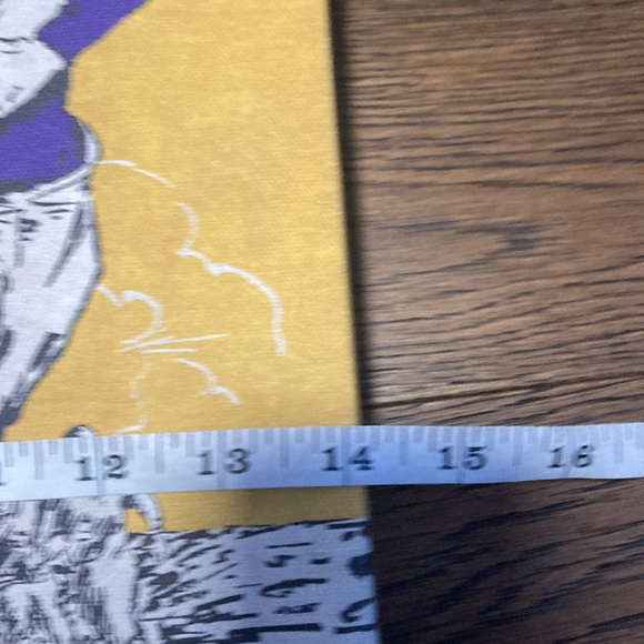 University of Northern Iowa Panthers Football Canvas - Picture 3 of 7